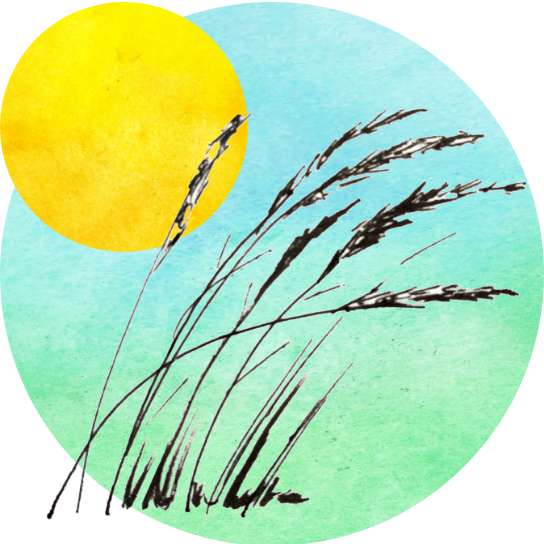 An illustration of a golden-yellow sun-like orb rising above a few strands of tall wheat or grass that bend in the breeze; the entire illustration is framed against a water-colored turquoise circle.