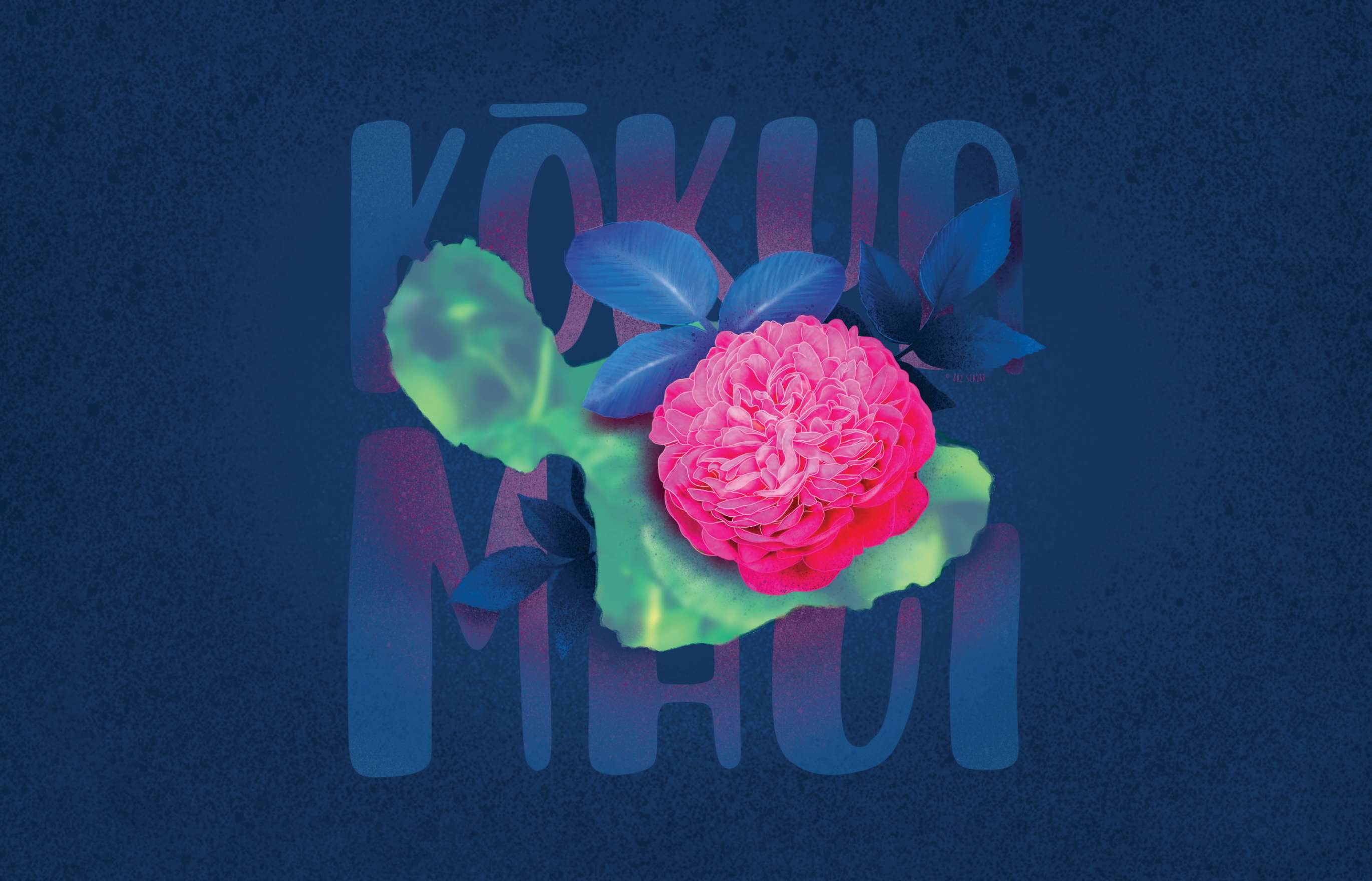 Illustration featuring the Lokelani rose, a pink flower that is a symbol of Maui. In the background are the words “Kōkua Maui” set on a blue, textured field.