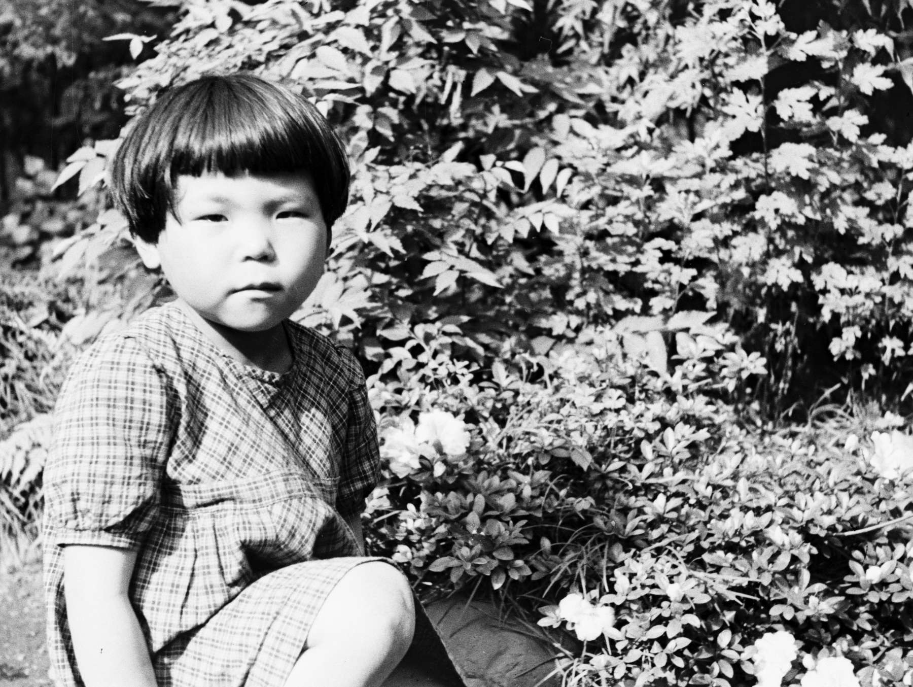 A five-year-old Masako, hair cut in a short bob, wearing a checked dress, kneels on the grass before a flowering bush.