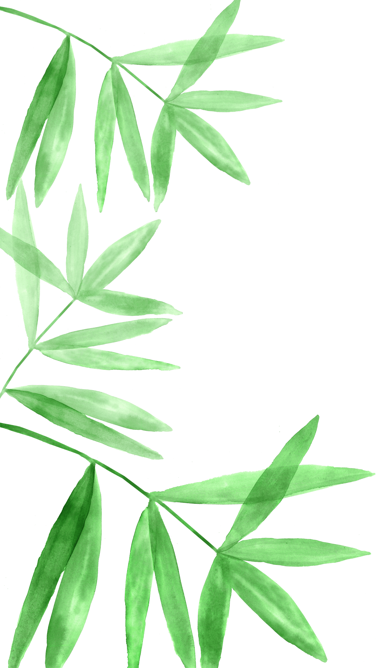 Watercolor illustration of leaves along the left side