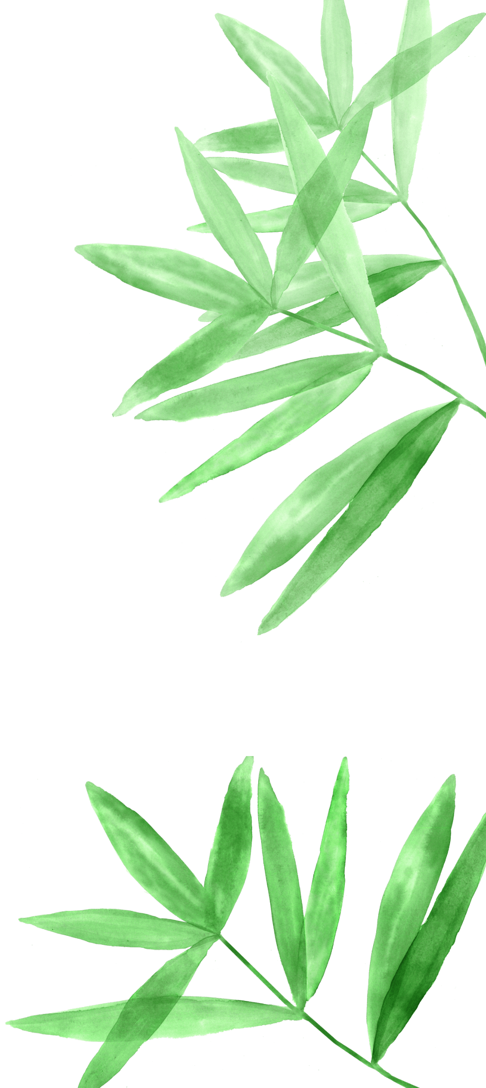 Watercolor illustration of leaves along the right side
