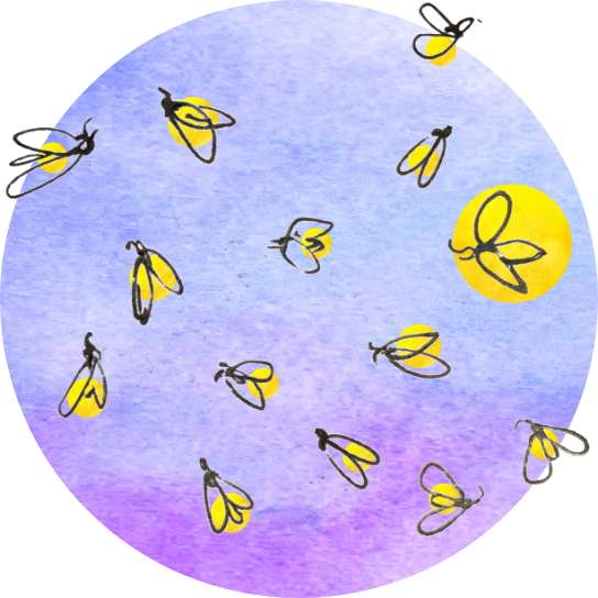 An illustration of fireflies, each illuminated with a golden-yellow orb-like glow, one firefly completely surrounded by its glow, framed against a water-colored circle in blue and purple hues.