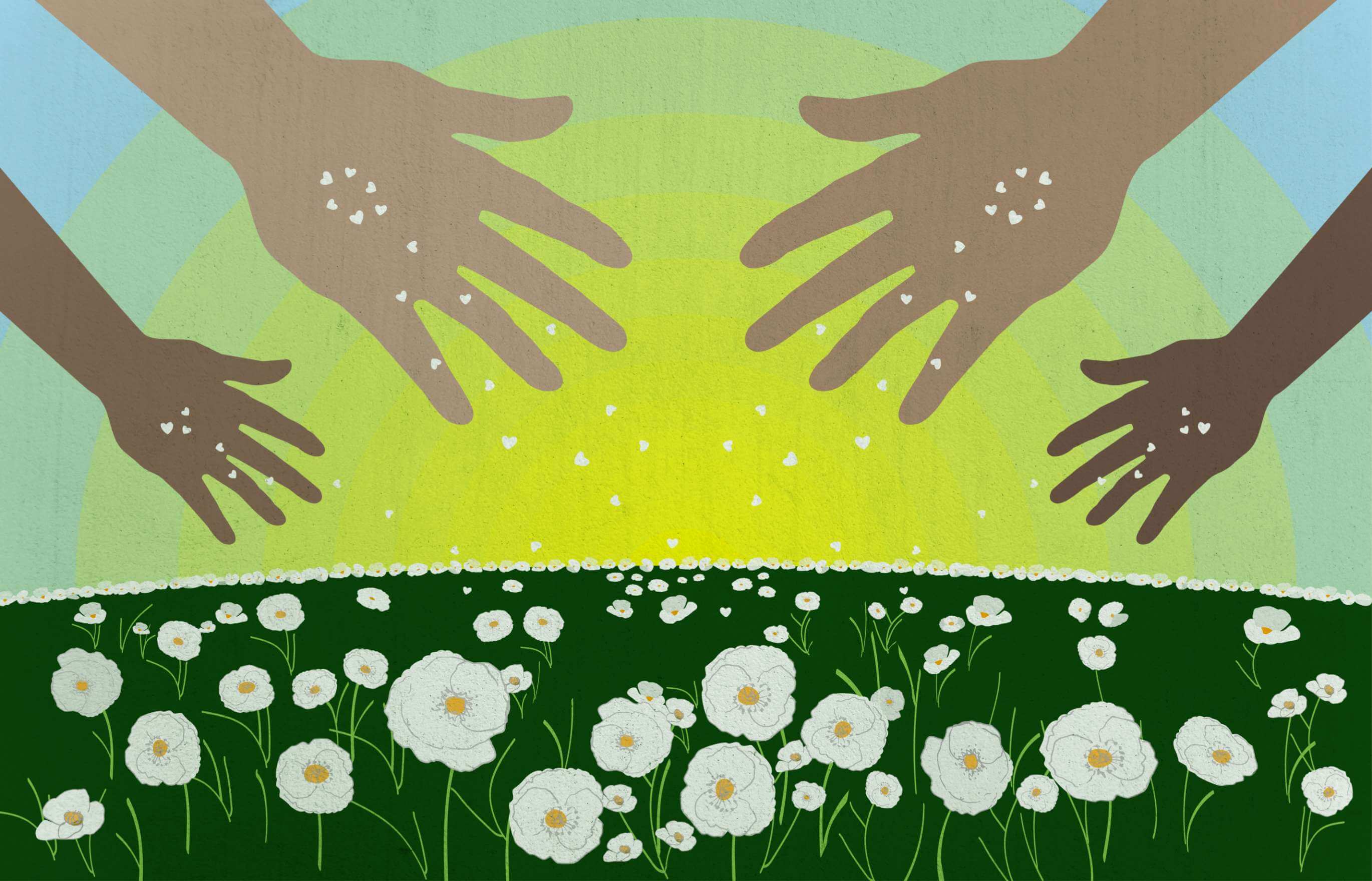 An illustration of four differently hued hands, extended from above, scattering white, heart-shaped seeds over a green meadow filled with white poppy flowers; concentric rings of yellow light radiate outward from the center of the horizon.